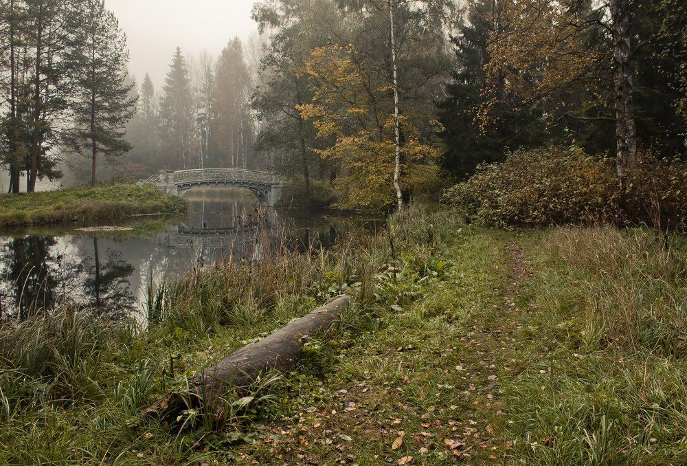 Уголок парка...