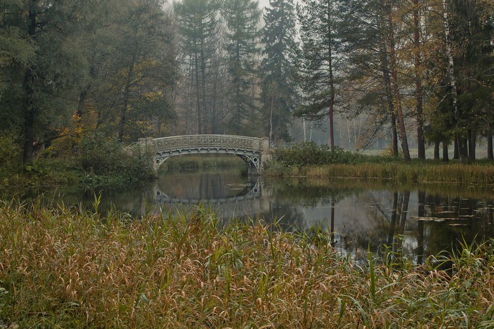 В глубине парка...