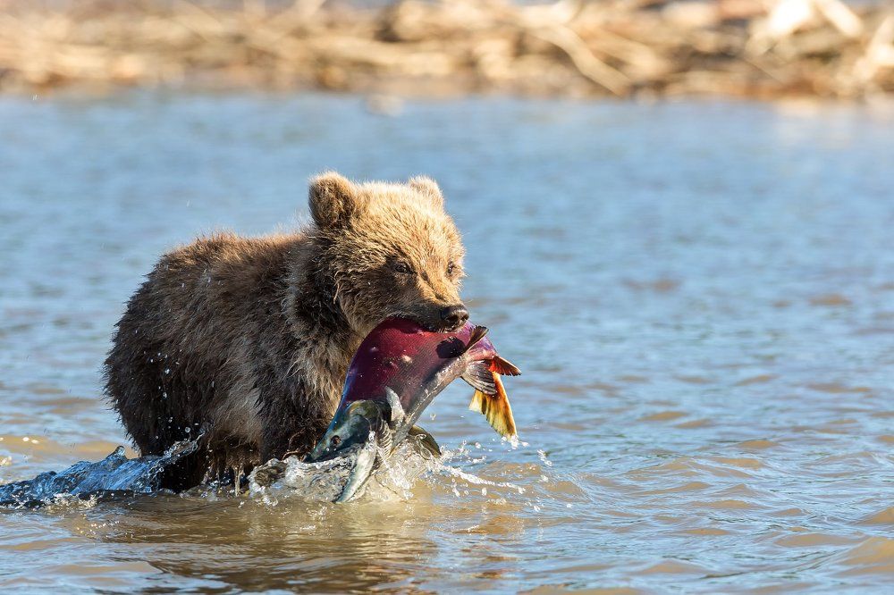 Первая рыбалка