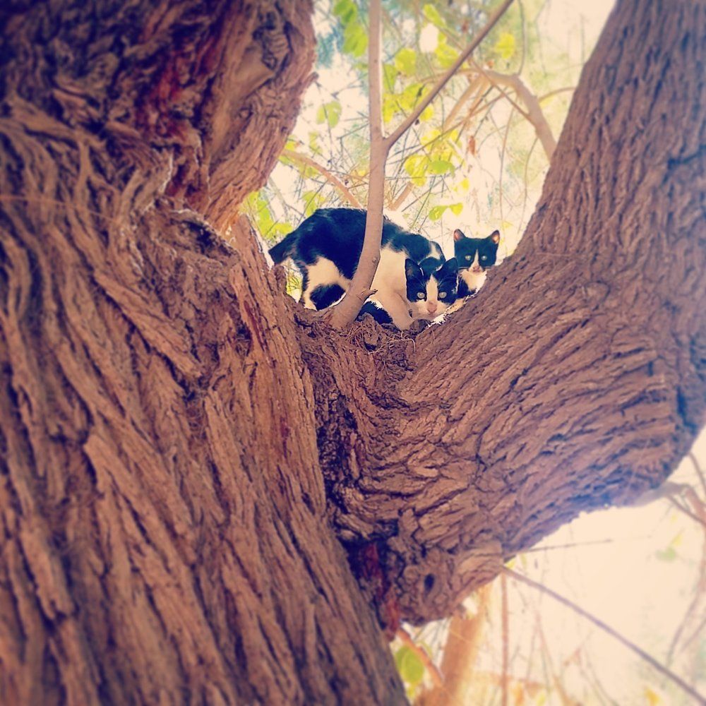 Photograph by Kandubasha