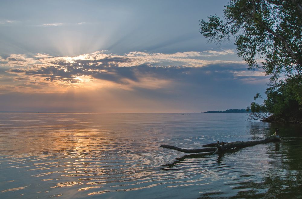 Гармония утра