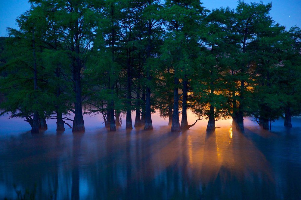 Пробуждение исполинов