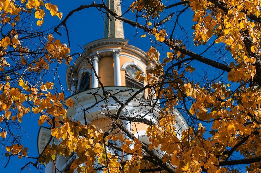 Осень пришла