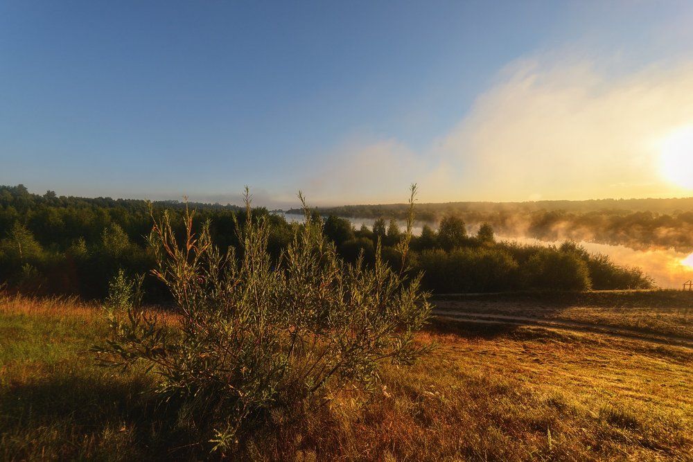 Фотография автора Алексей Ковалев