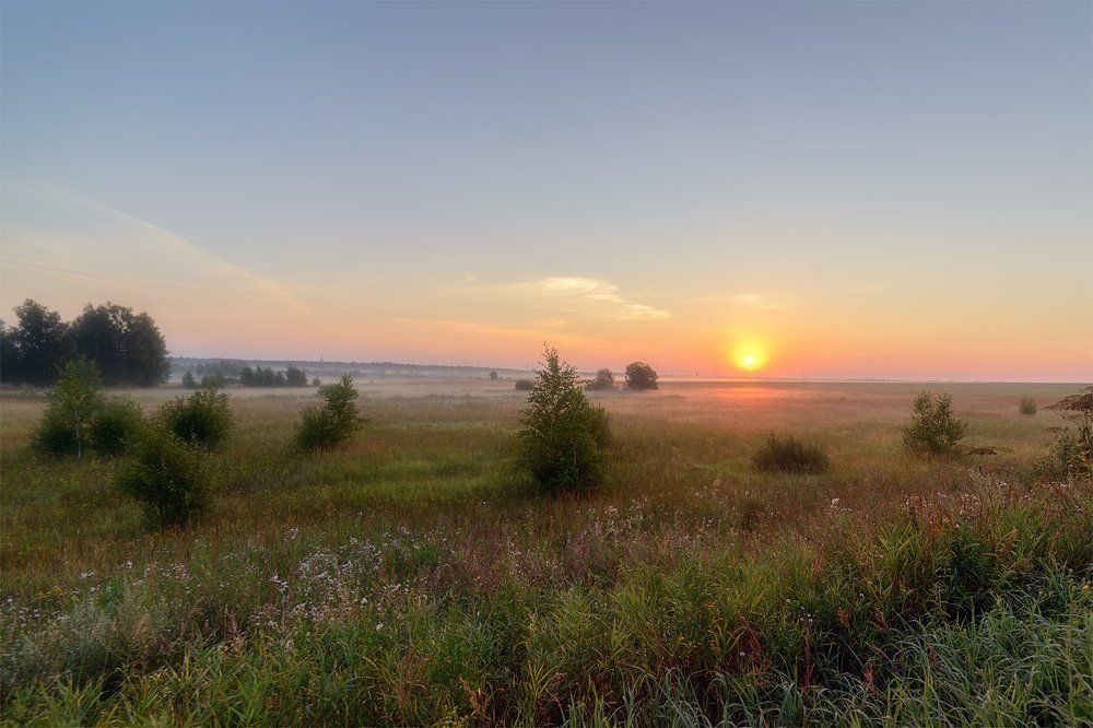 Фотография автора Алексей Ковалев