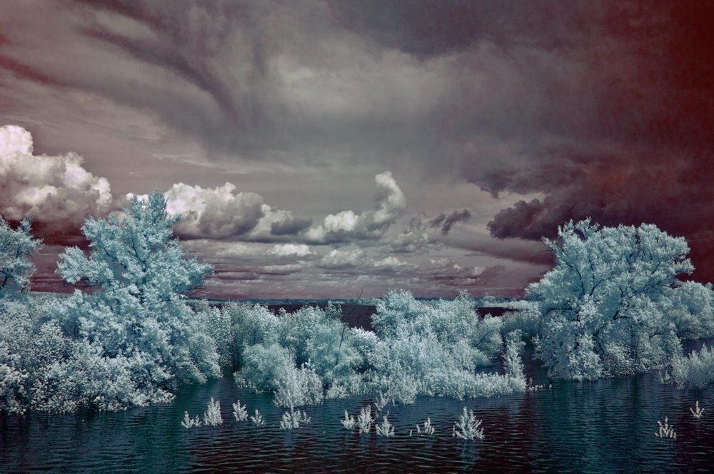 Перед грозой...