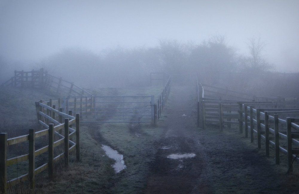 " Лабиринты "