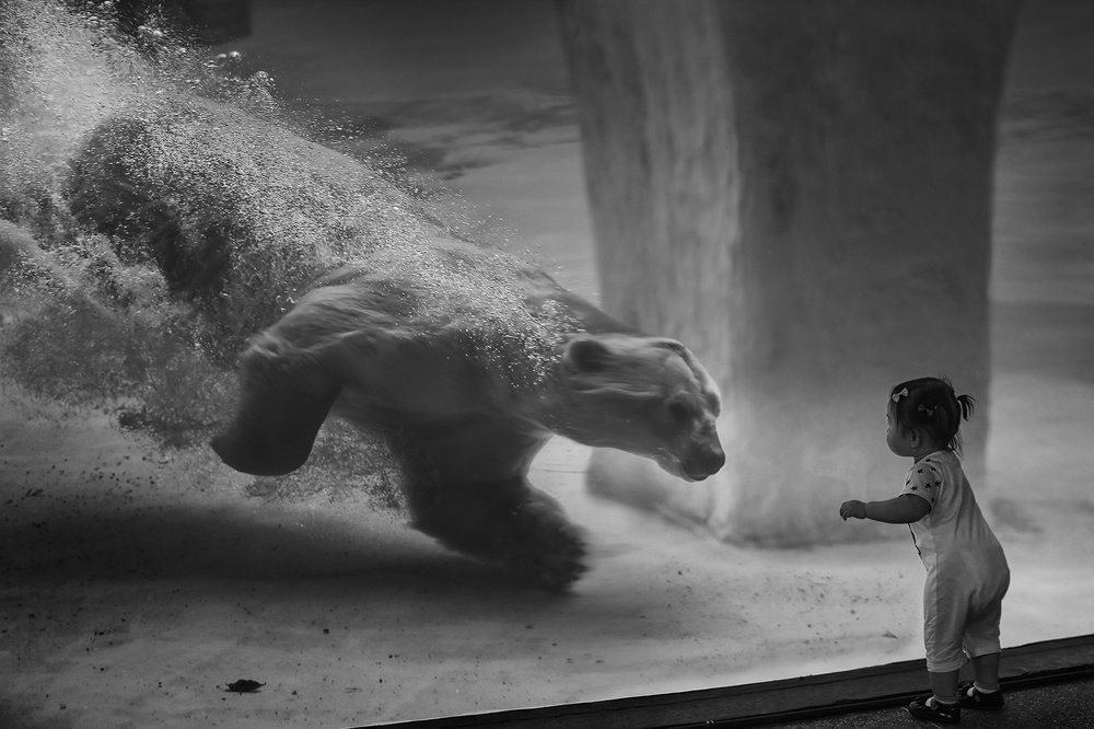 Ма Ша и медведь...