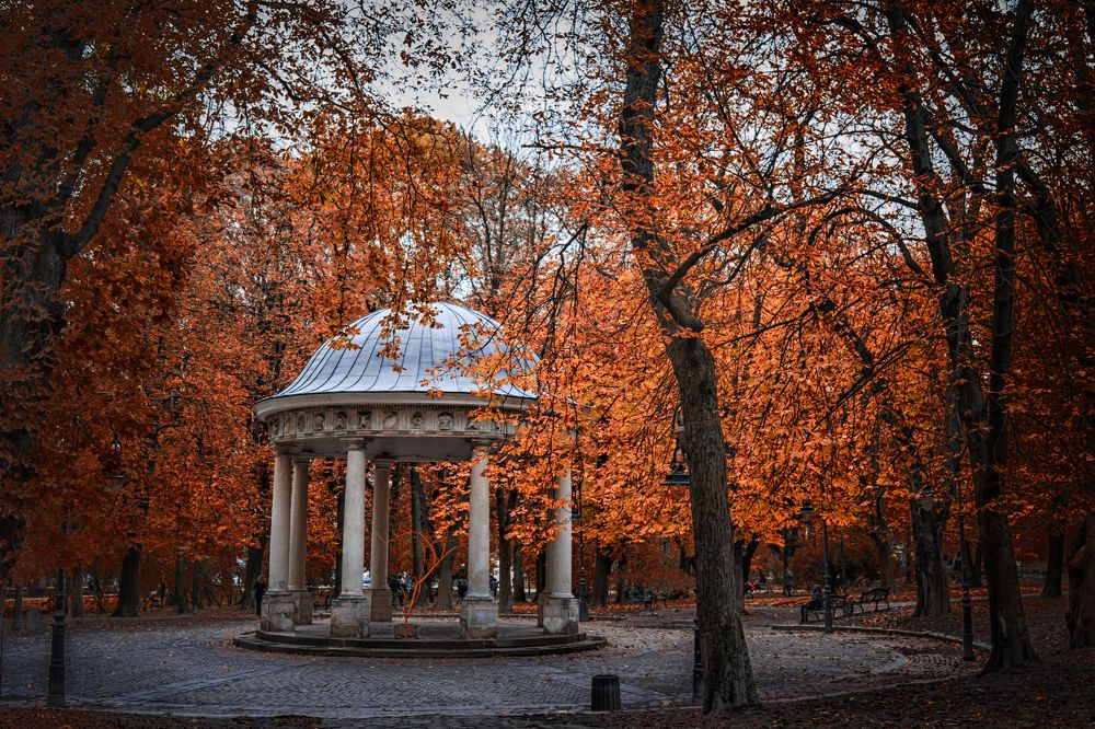 Золота осінь