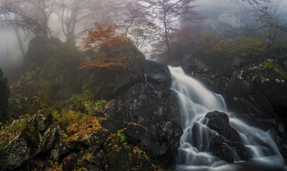 Осень в лесу