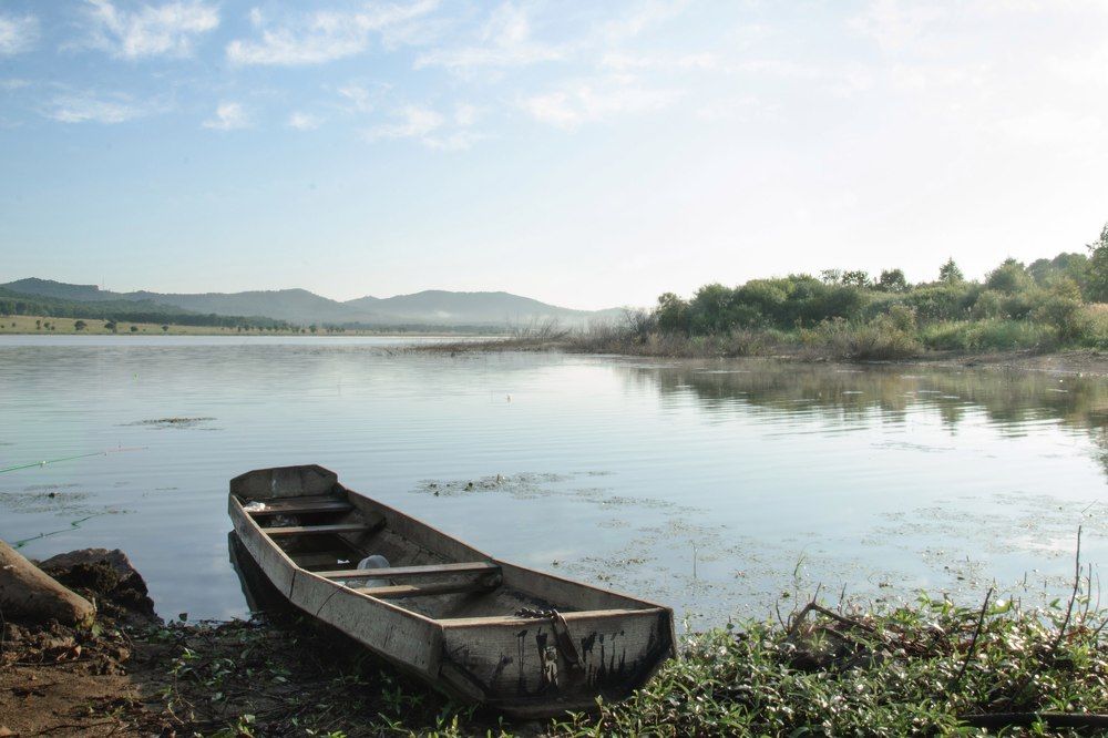 Photograph by Зоров Илья