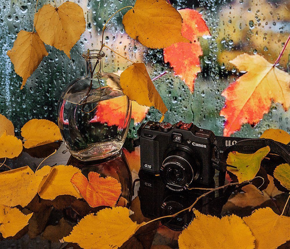 Сними, фотограф. осень