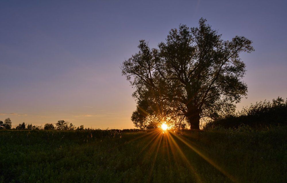 Завершение дня...