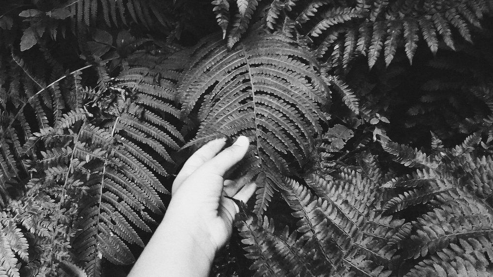 Photograph by Alina Shaykhieva