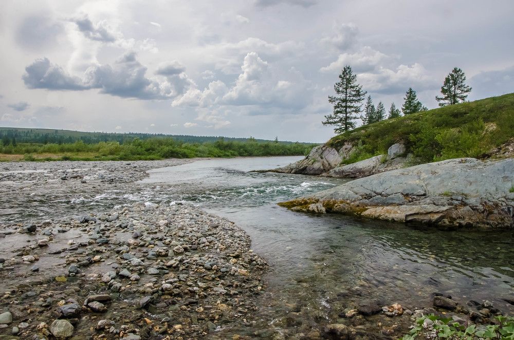 На севере диком...