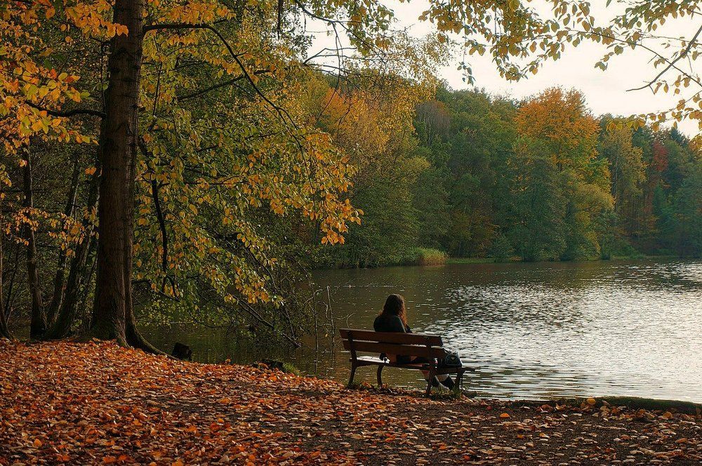 Наедине с природой