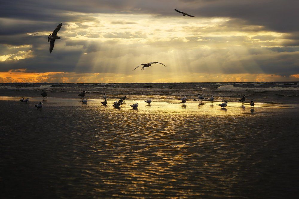 Солнечные ванны