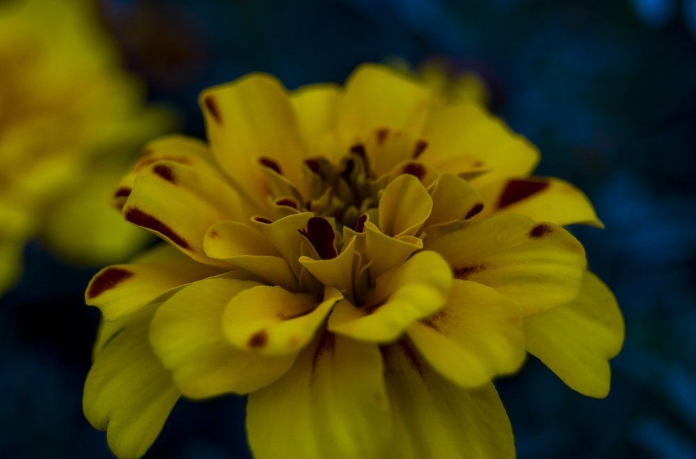 Заглянем внутрь...