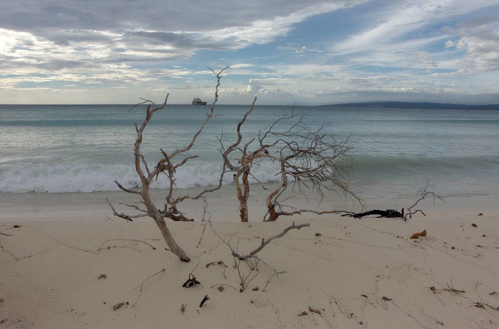 Бухта орлов