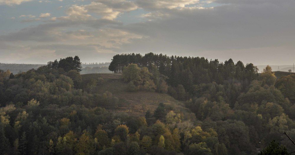 И леса занавес откроет действо миру