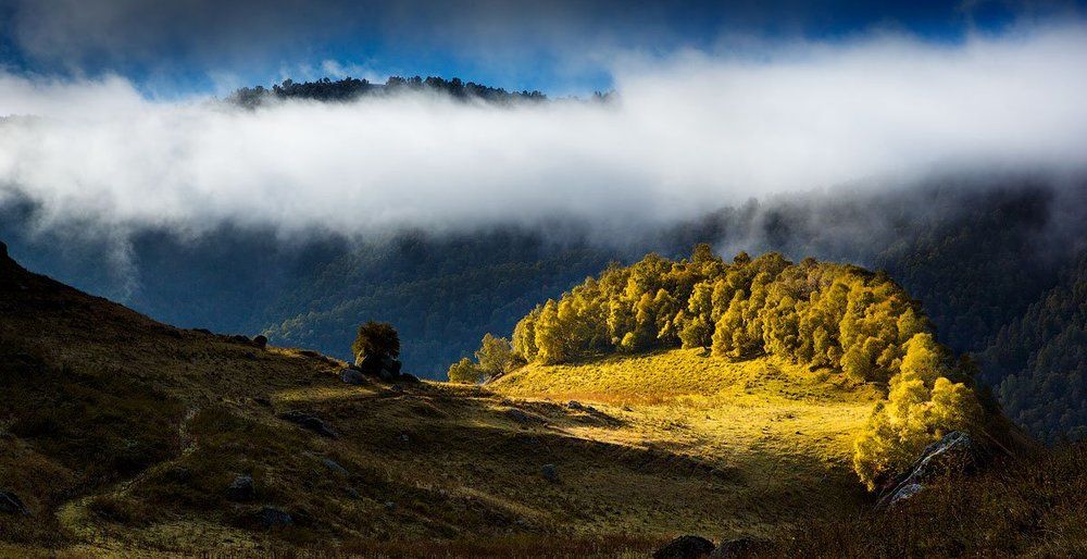 Вот и осень...