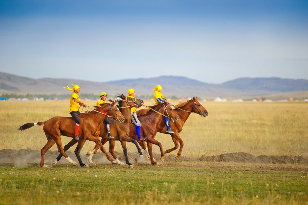 Конные состязания