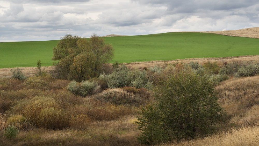 Весна начинается осенью