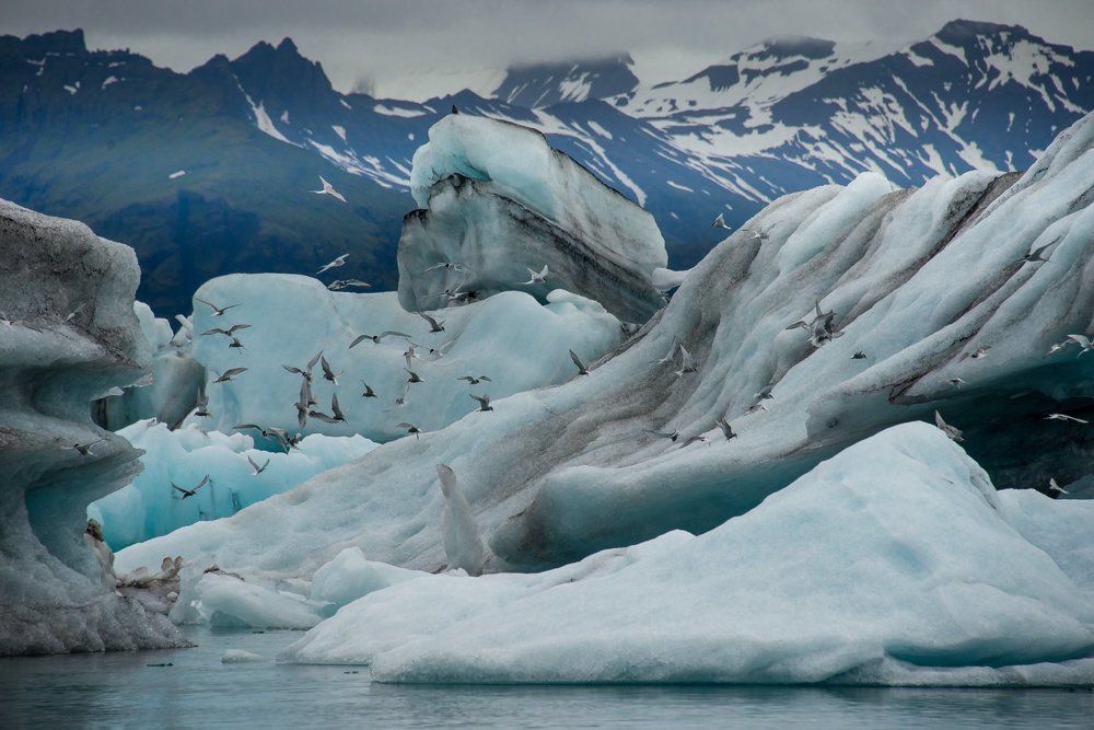 Ледниковая  лагуна.