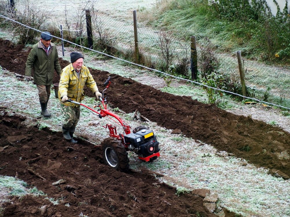 Полоса чёрная, полоса белая