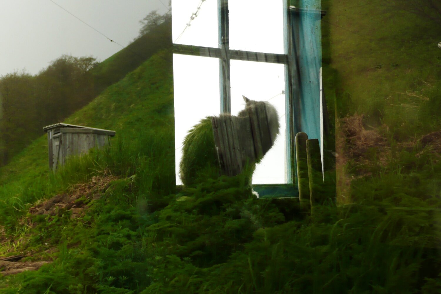 Photo #1484214