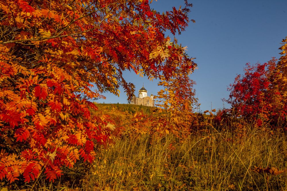 осень на Белой горе