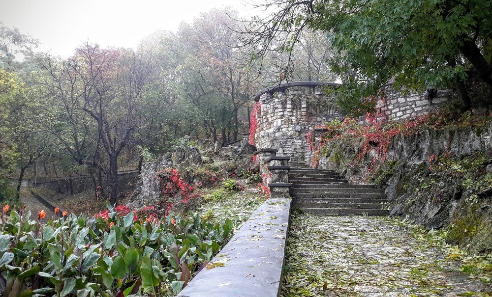 Туманная осень