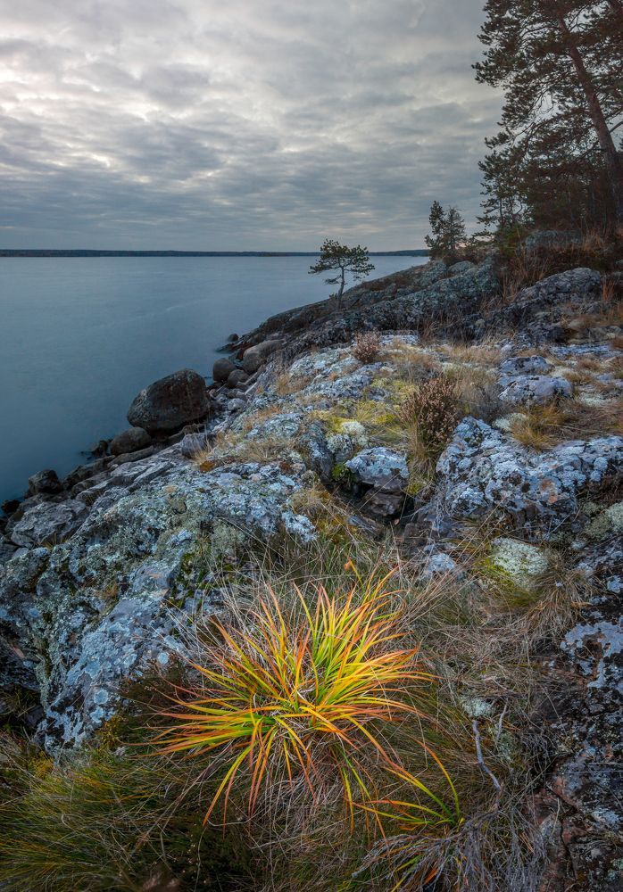 Photograph by Михаил Проскалов