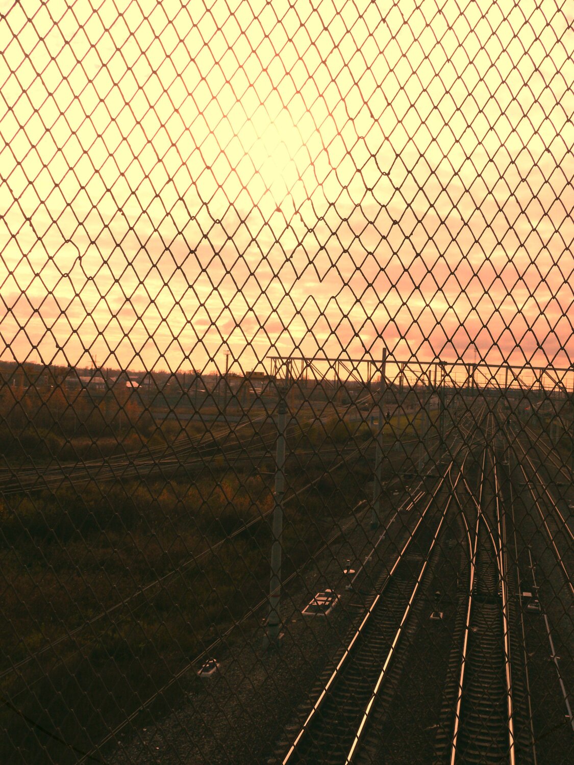 Тепло