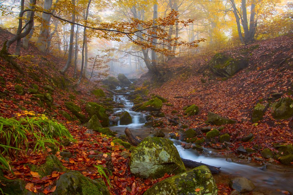 Осенние краски