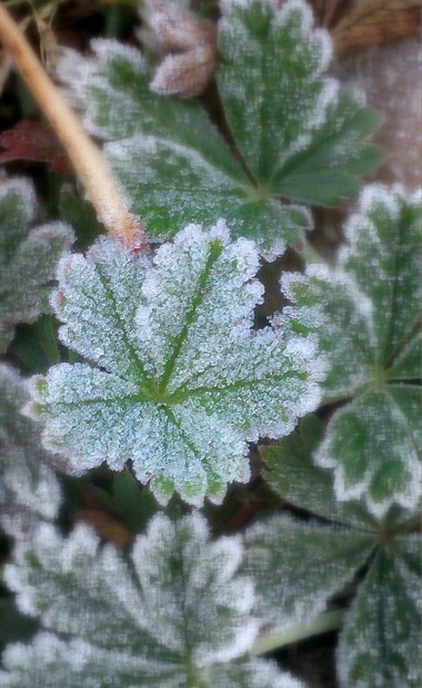 Photograph by Игнат Крошко