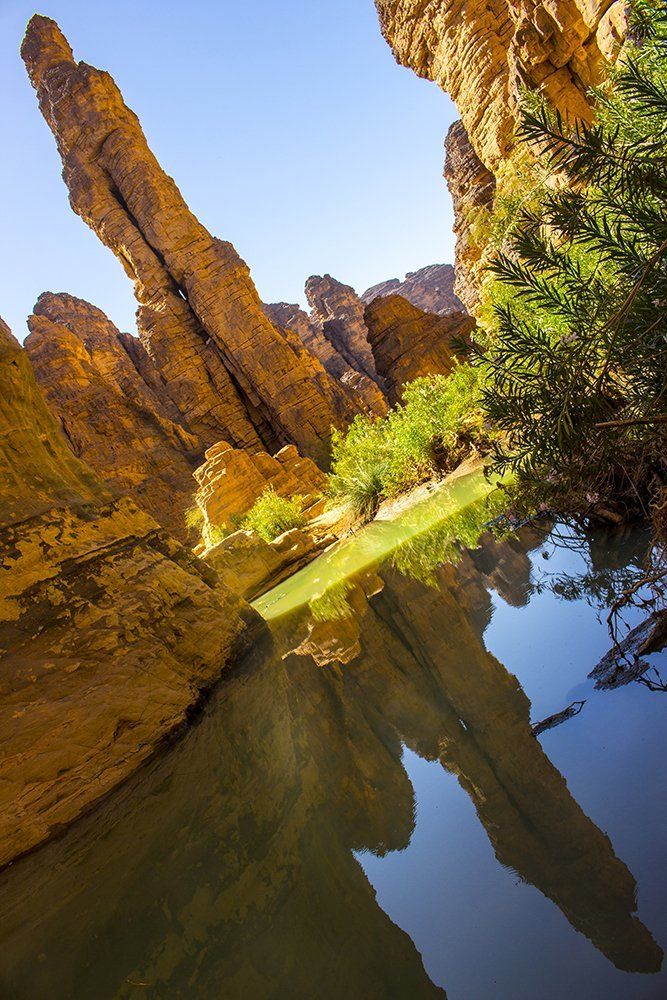 Reflection in the water
