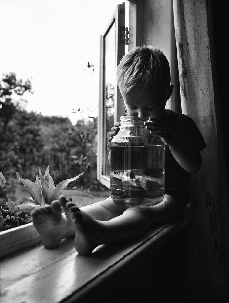 Золотая рыбка