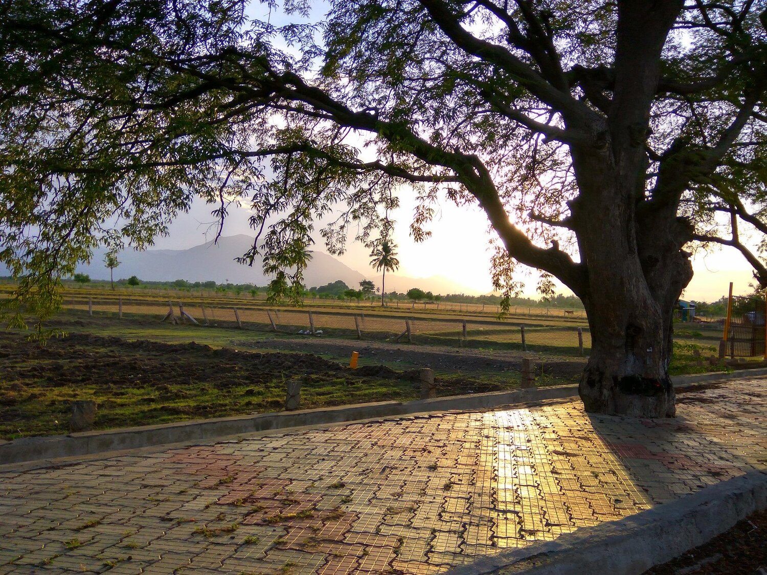 Light rays