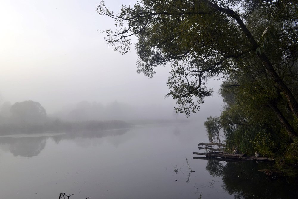 Утренний туман на реке Мох