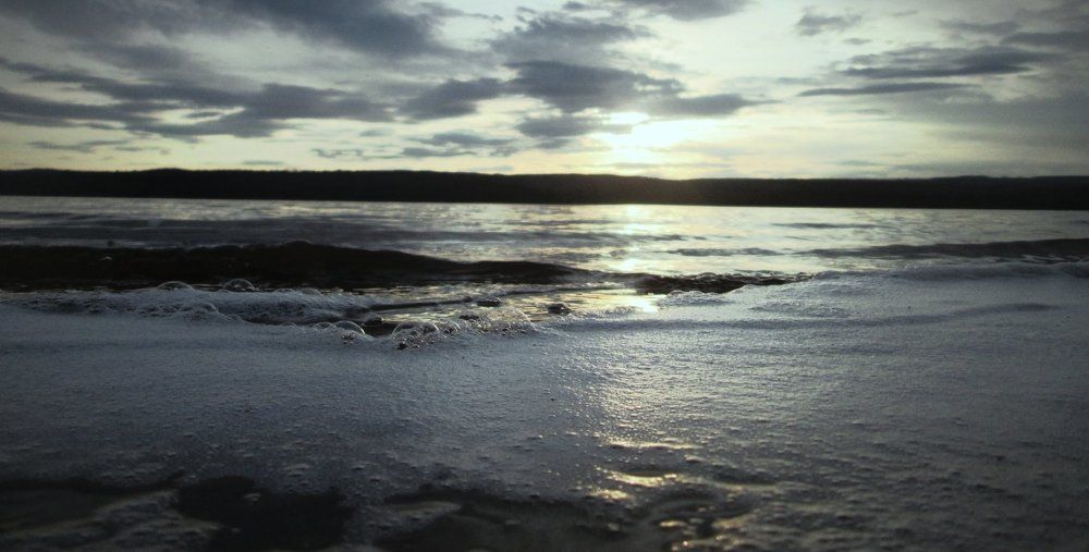Photo #1485399