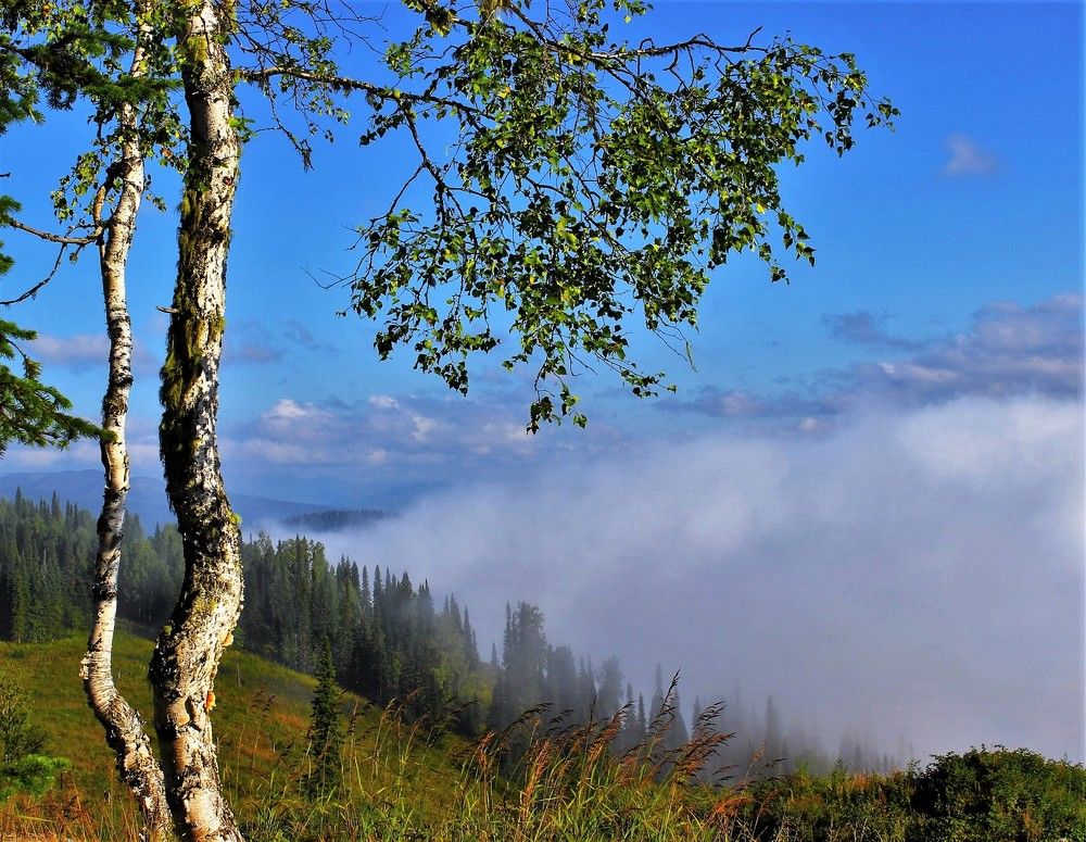 Надвигающийся туман