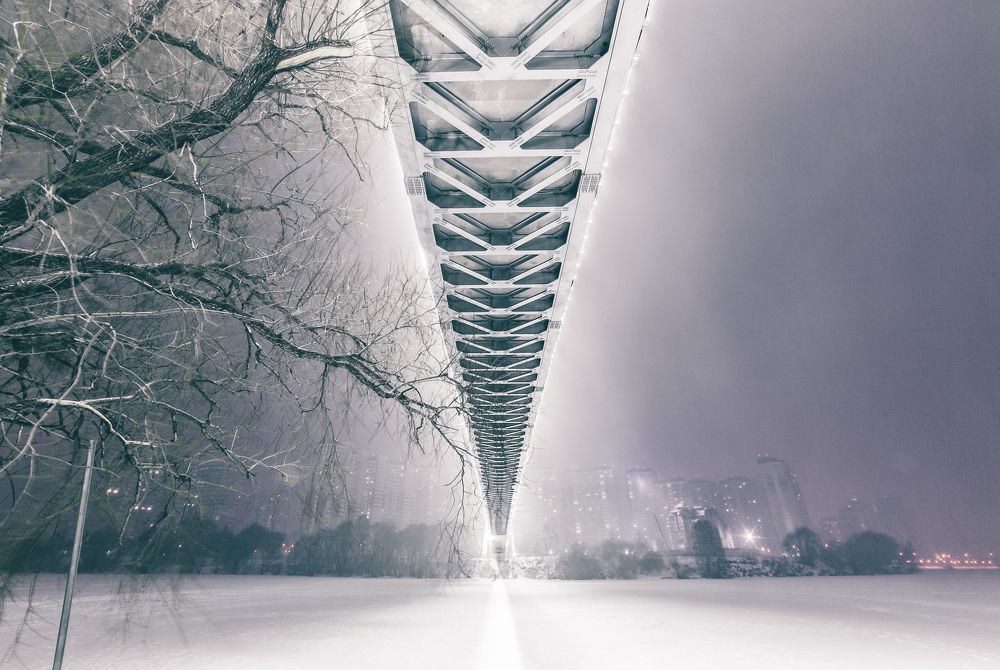 Мост в Павшинской пойме