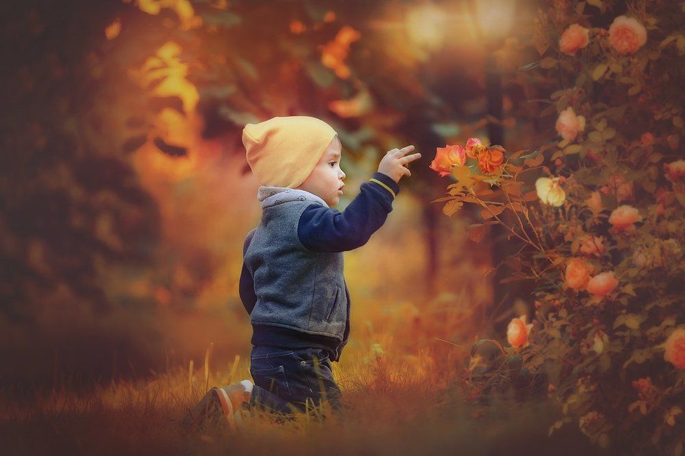 Фотография автора Романова Яна