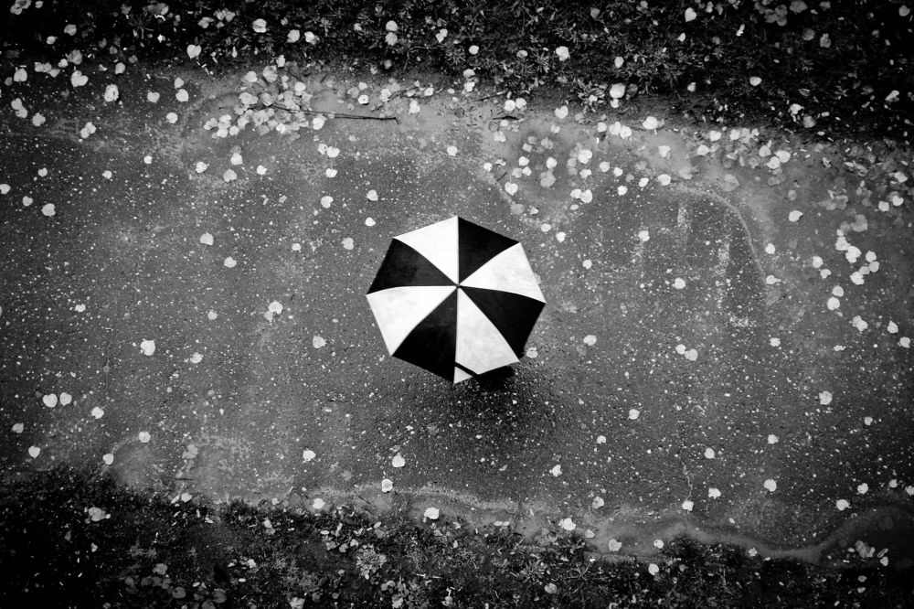 Осенний дождь