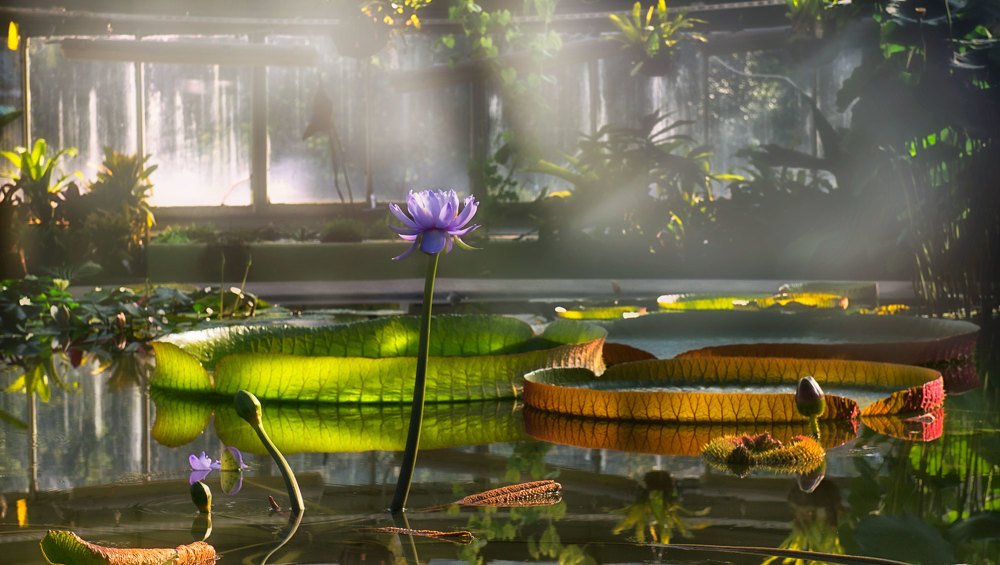 Параллельные миры