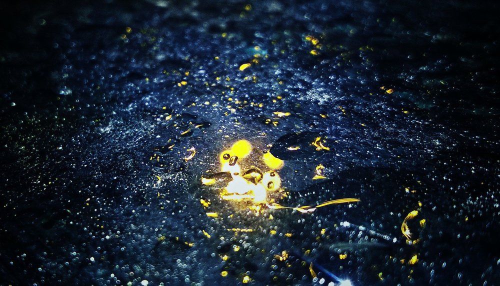 Shining drops