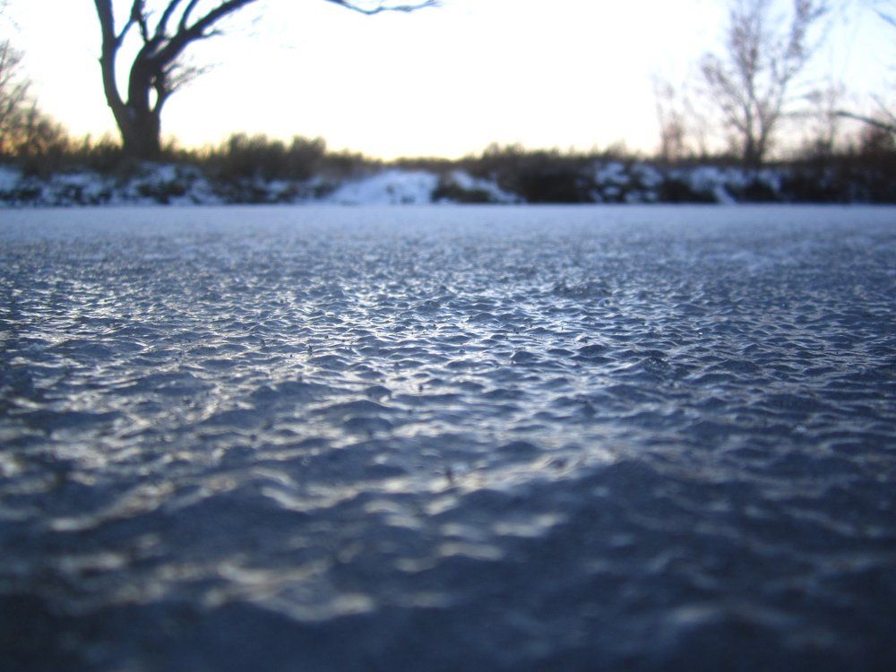Photo #1486160