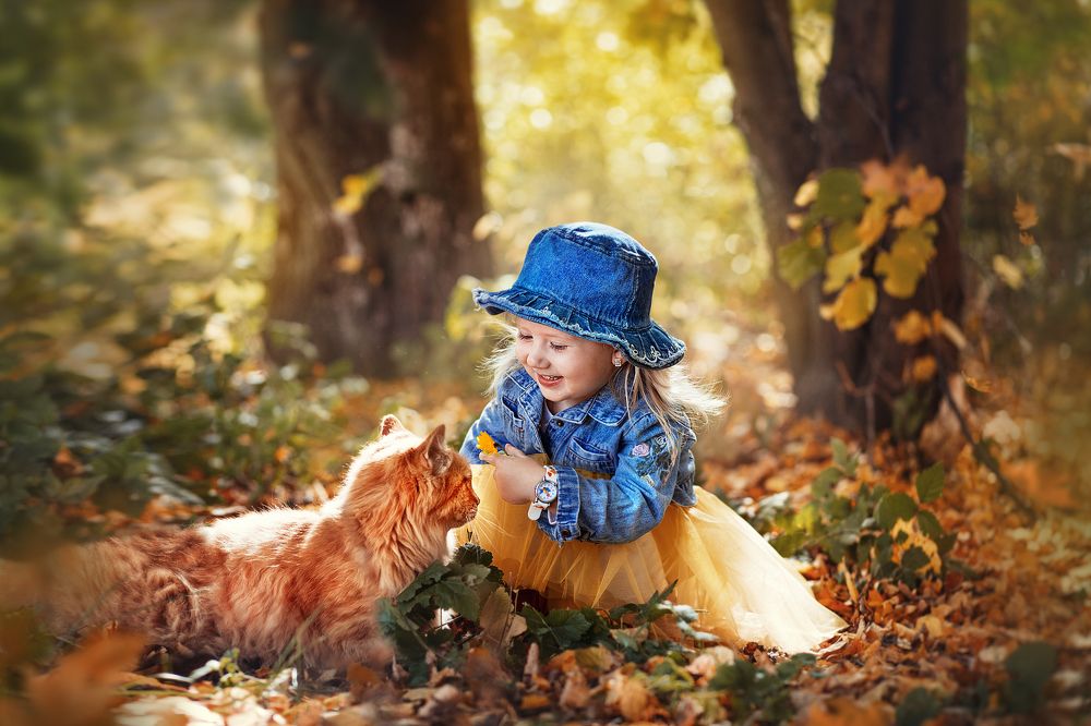 Тёплая осень