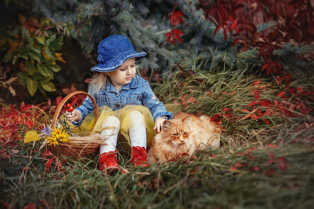 Photograph by Людмила Тетера